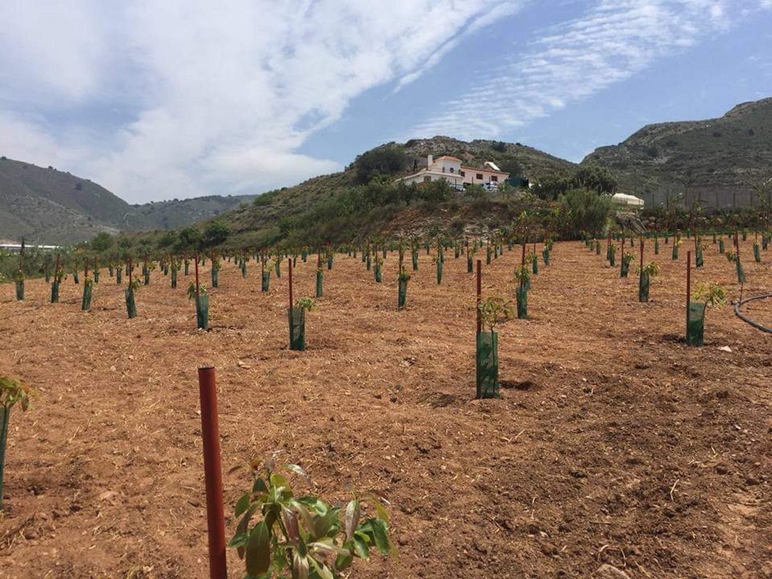 Finca familiar de Cortijo de los Mudos en Motril